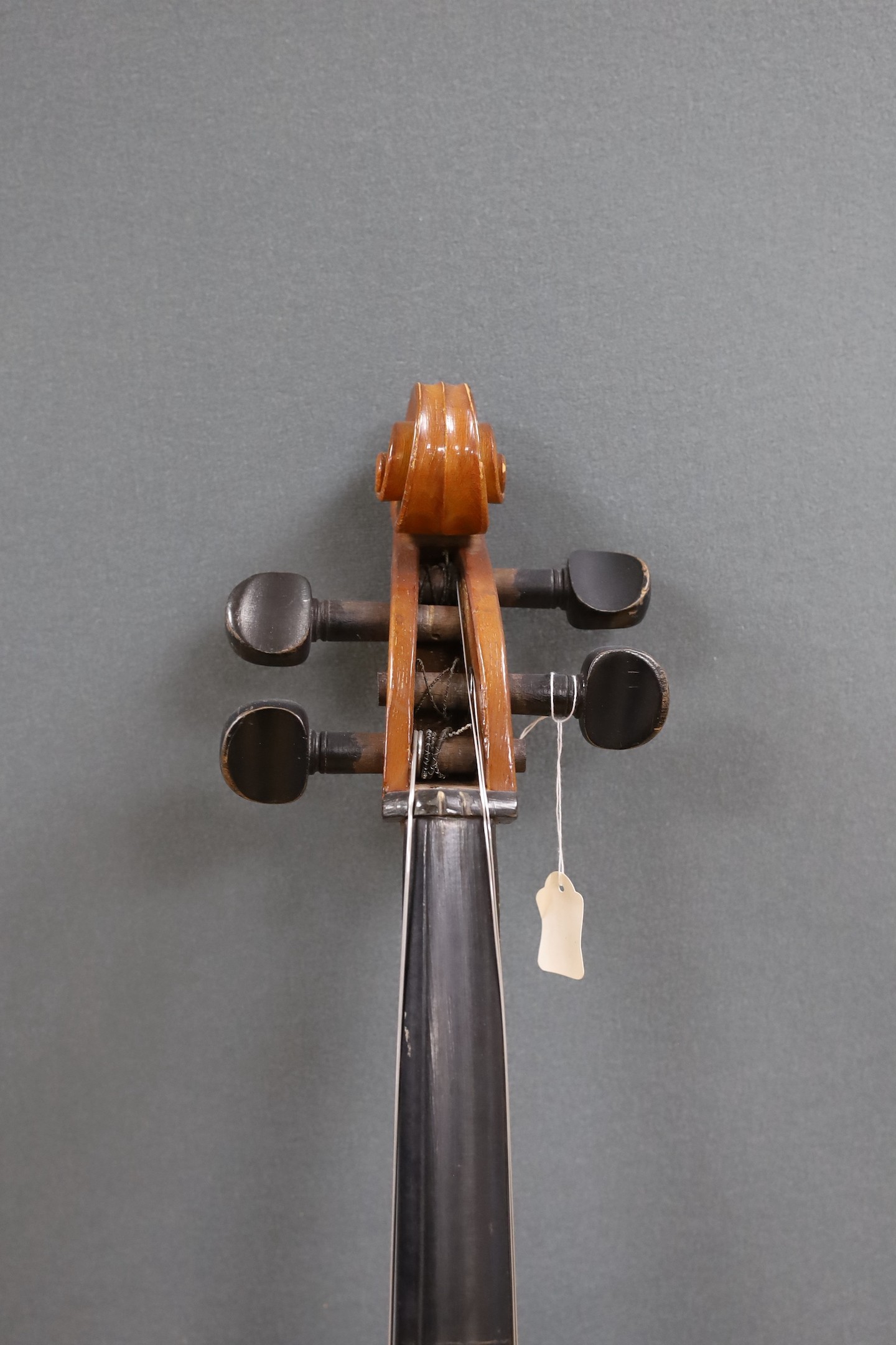 A modern cello, with canvas case